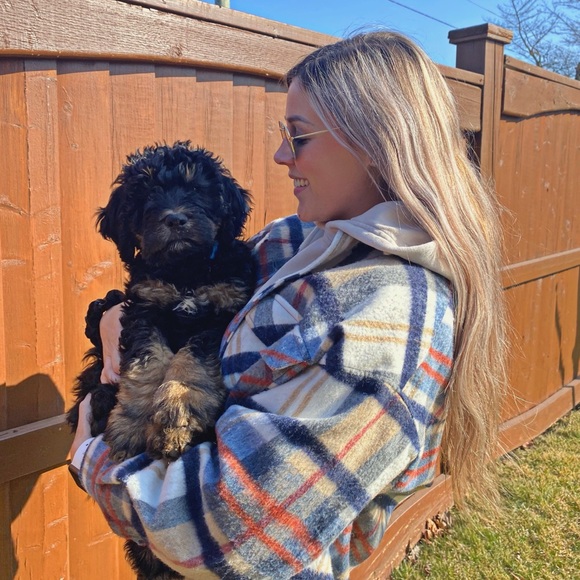 Meet your Posher, Allie - Picture 2 of 2